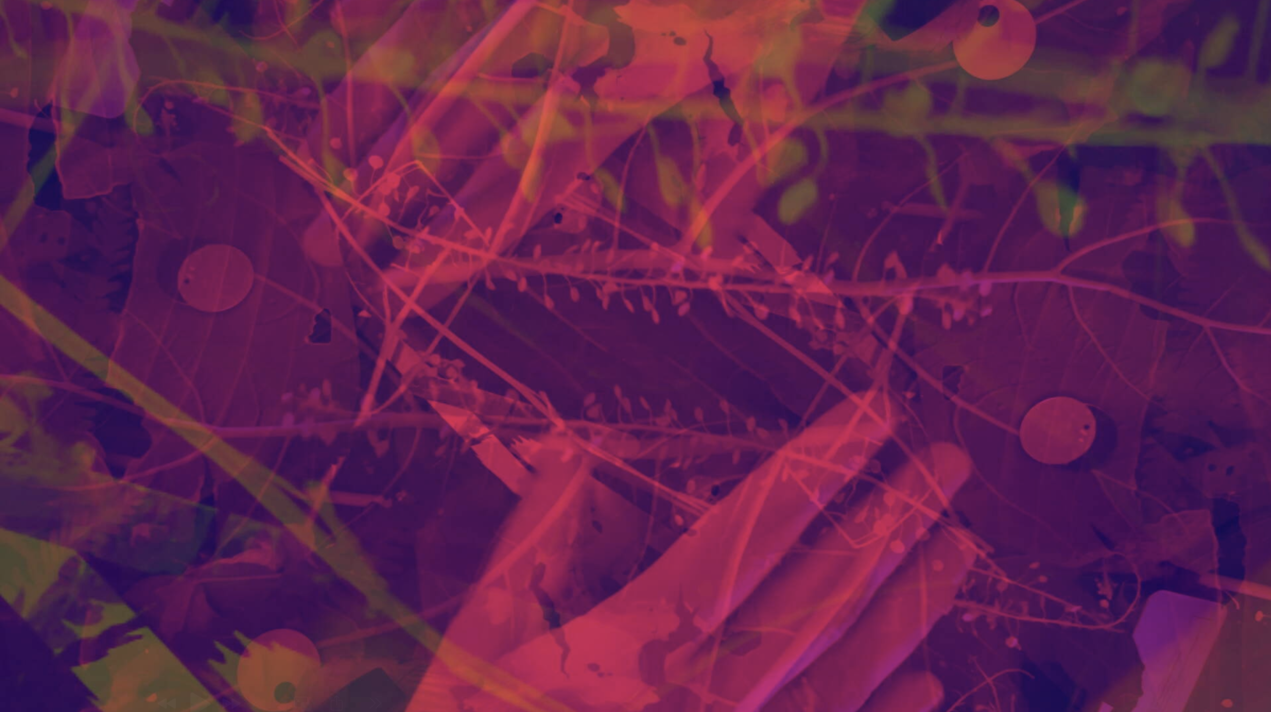 Black Hole Club Network: Carla Busuttil, Digital Improvisation Workshop
